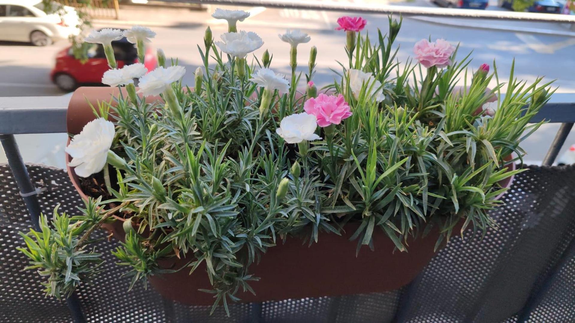 Apartman Valeria Split Bagian luar foto